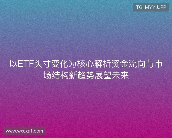 以ETF头寸变化为核心解析资金流向与市场结构新趋势展望未来